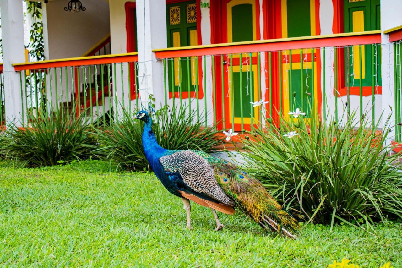 Hotel Campestre Cafe Cafe مونتينيغرو المظهر الخارجي الصورة